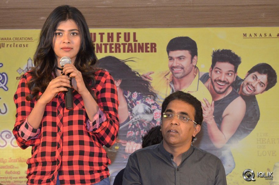 Nanna-Nenu-Naa-Boyfriends-Movie-Success-Meet